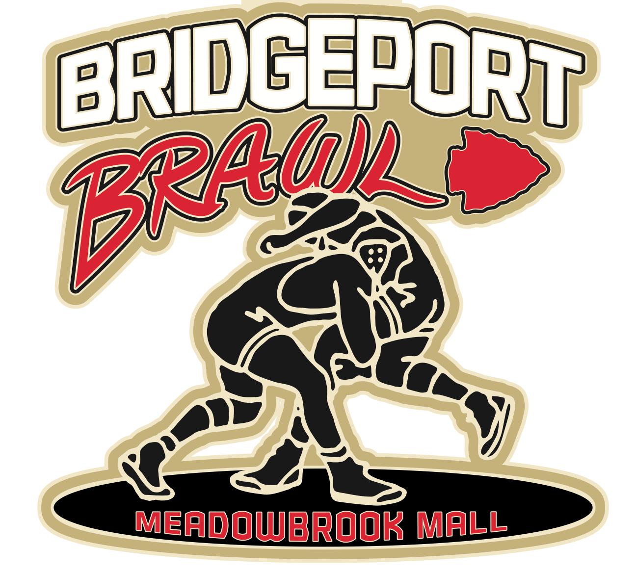 Bridgeport Brawl at the Meadowbrook Mall